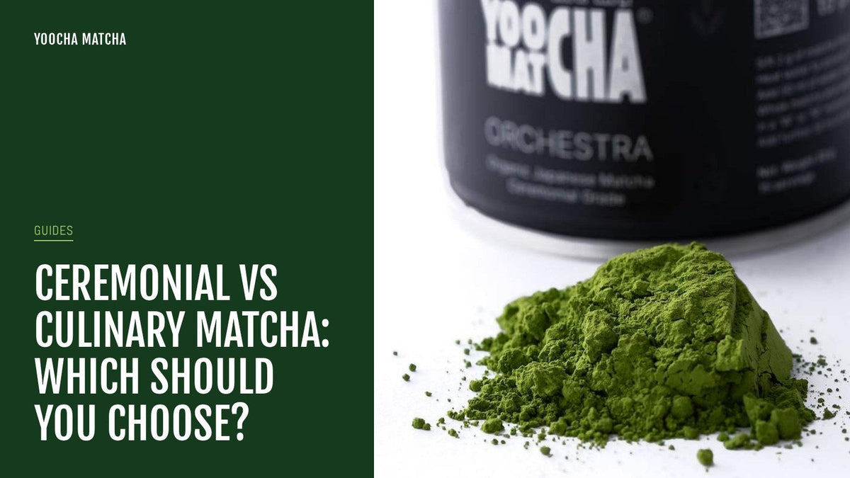 Ceremonial vs culinary matcha: which should you choose?