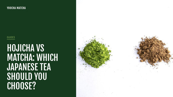 Hojicha vs Matcha: Which Japanese Tea Should You Choose?
