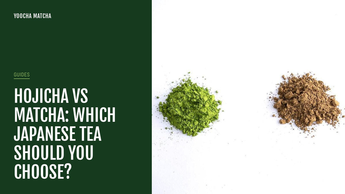 Hojicha vs Matcha: Which Japanese Tea Should You Choose?