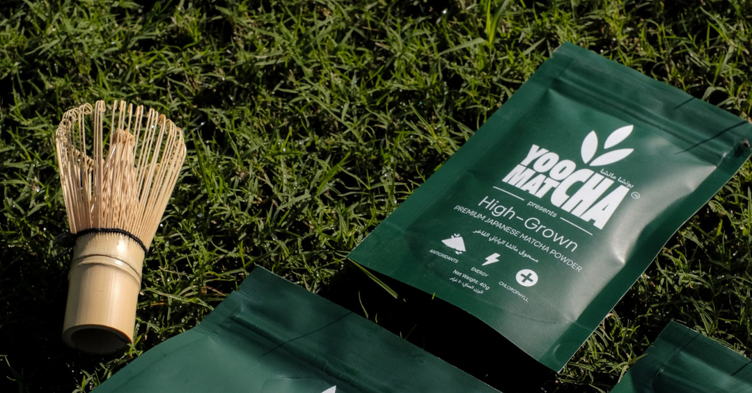 Usucha vs. Koicha – How to Make the Perfect Matcha – yoochamatcha.com