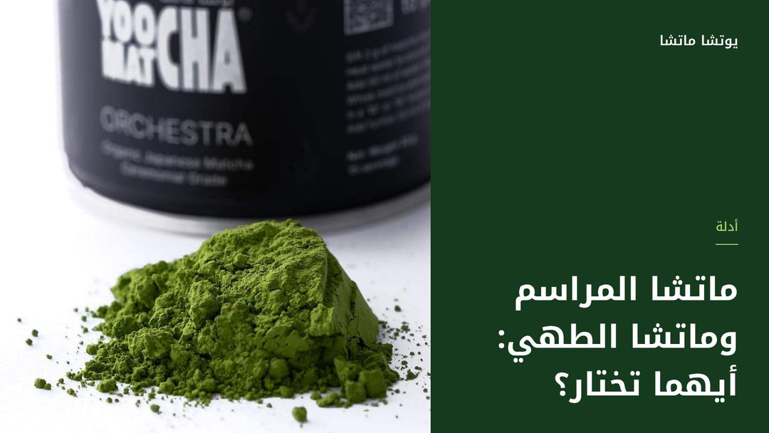 ماتشا المراسم وماتشا الطهي: أيهما تختار؟