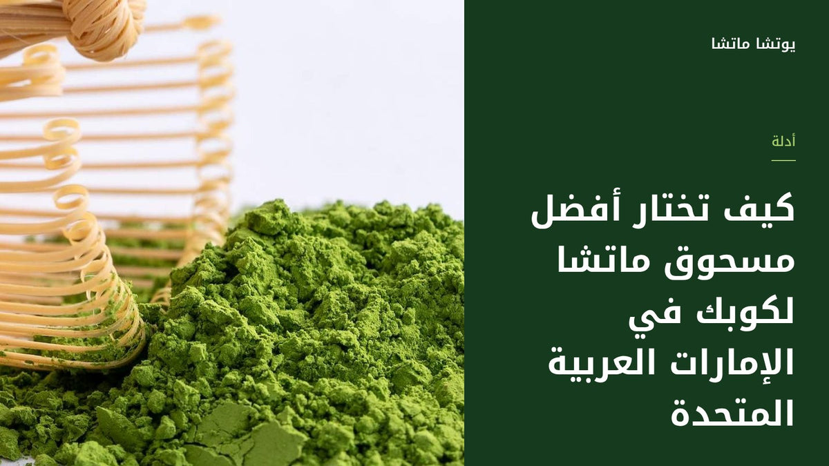 كيف تختار أفضل مسحوق ماتشا لكوبك في الإمارات العربية المتحدة
